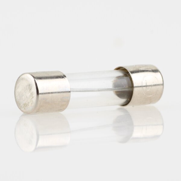 0.25A Feinsicherung Glassicherung 5x20mm 250V 250mA mittelträge