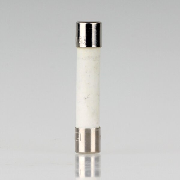 12A Keramiksicherung 6,3x32mm 250V/1200mA flink für Mikrowelle