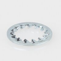 Fächerscheibe IZ17,0 DIN 6798 – Metall,...