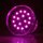 E14 LED Kappenlampe 1,2W pink – 16+4 SMD, 230V, passend für Diamantschliffkappen