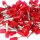 Aderendhülsen 1,0 mm² rot isoliert – 14 mm Länge – 100 Stück