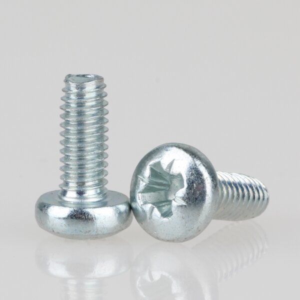 M4 Gewindefurchschraube 10mm mit Kreuzschlitz Form C DIN 7500 (10 Stück)