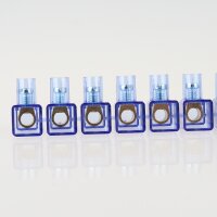 Lüsterklemme transparent 10-polig bis 4mm² – einseitig geschlossen