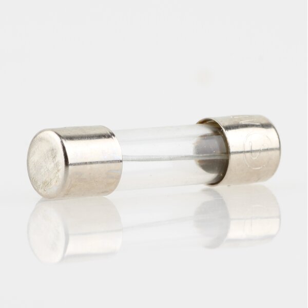 0.1A Feinsicherung 5x20mm 250V 100mA träge