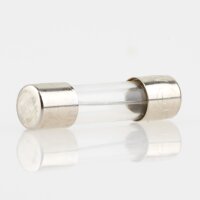 0.16A Feinsicherung 5x20mm 250V 160mA flink