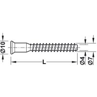 Häfele Einteilverbinder Confirmat Senkkopf SW4 Innensechskant 38x7 mm verzinkt